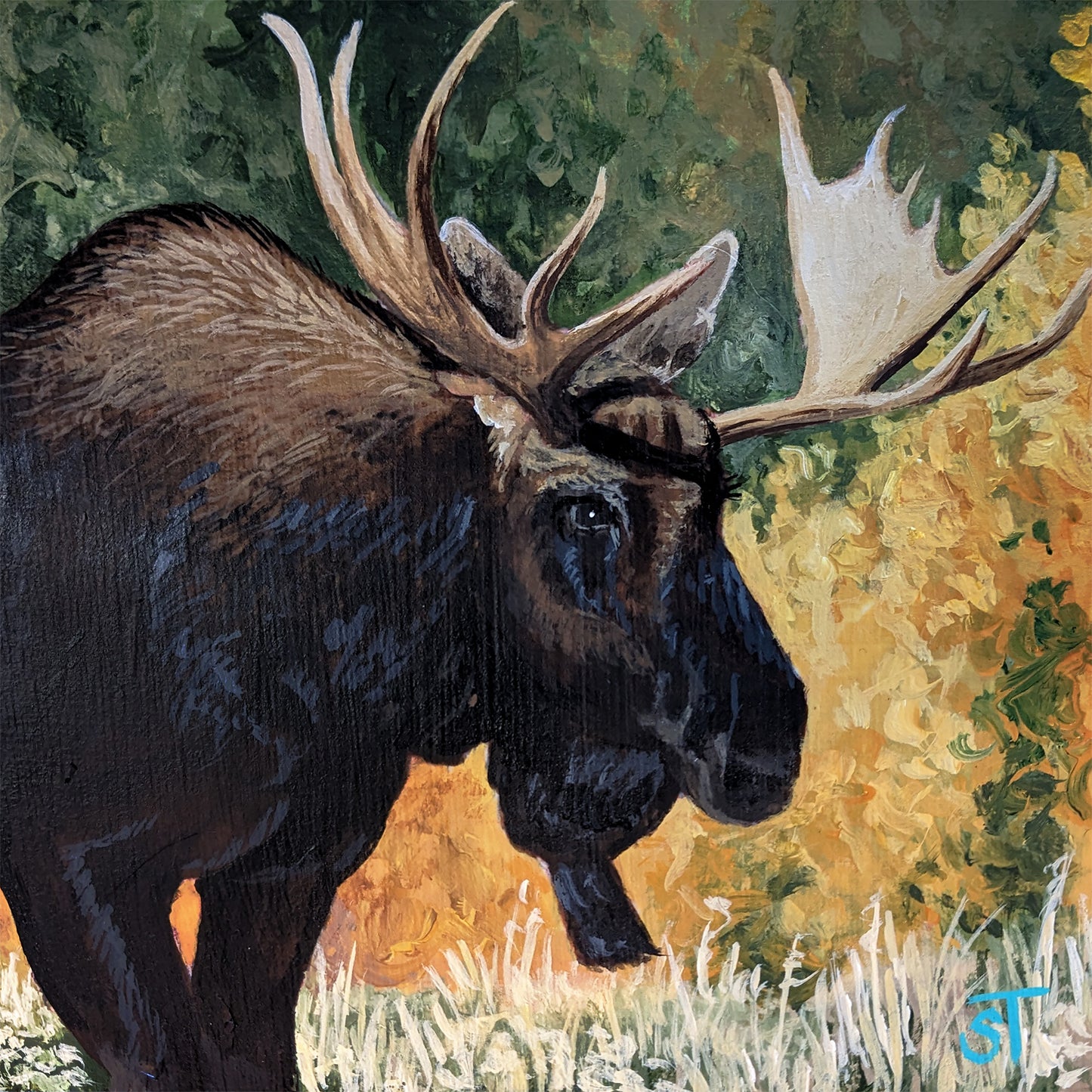 Original wildlife painting of a bull moose with broad antlers standing in tall grass, surrounded by warm autumn foliage in earthy greens and golds.