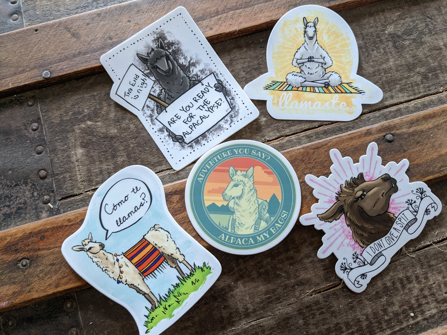 Set of llama and alpaca vinyl stickers photographed together on an old steamer trunk, featuring multiple illustrated designs with humorous text and expressions.