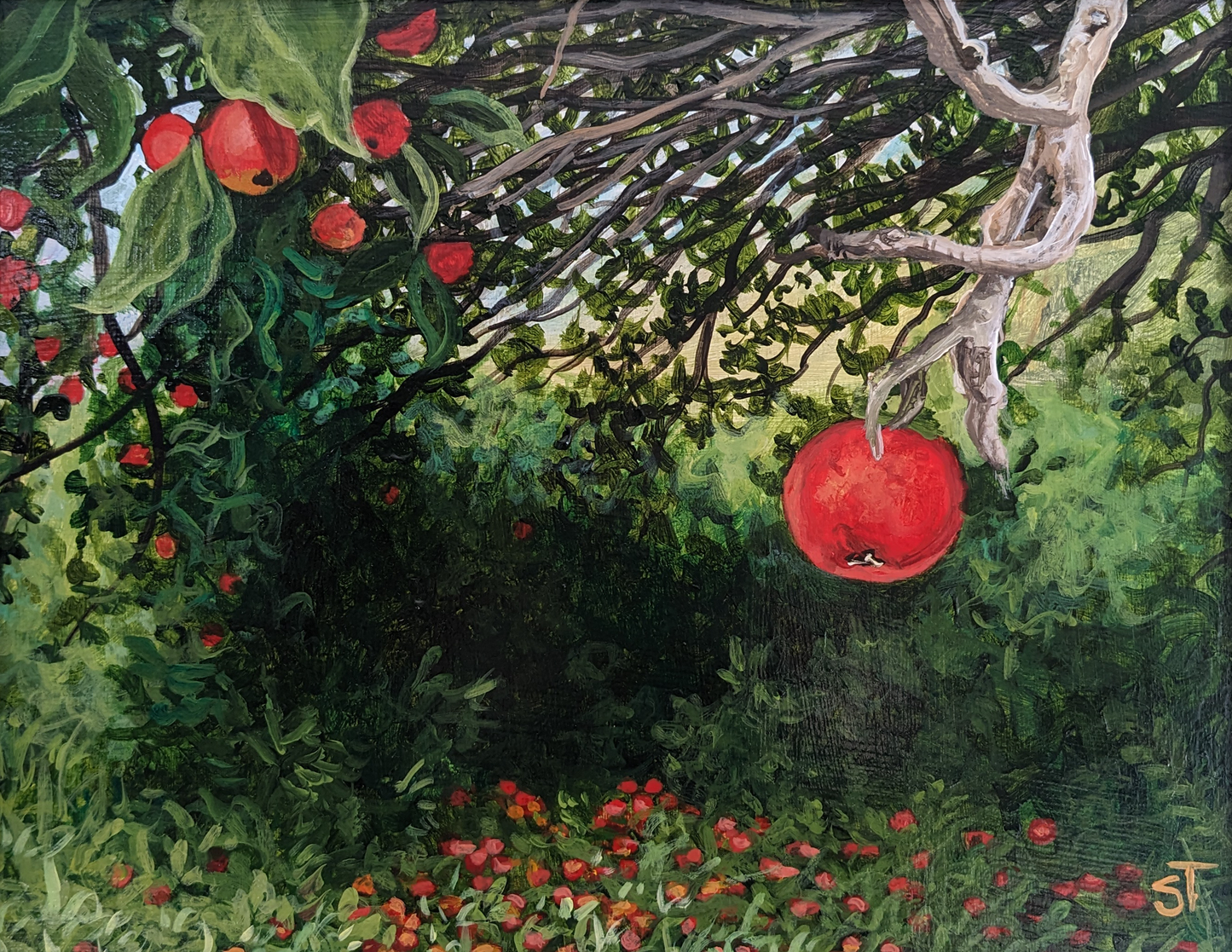 Easy Pickin artwork featuring an apple tree full of low hanging bright red apples.