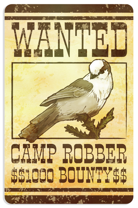 Vintage-style “Wanted” poster vinyl sticker featuring a Gray Jay labeled “Camp Robber” with a $1000 bounty.