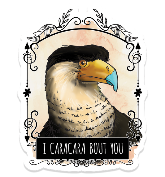 Vinyl sticker featuring an illustrated Caracara in a decorative frame with the text “I caracara bout you.”