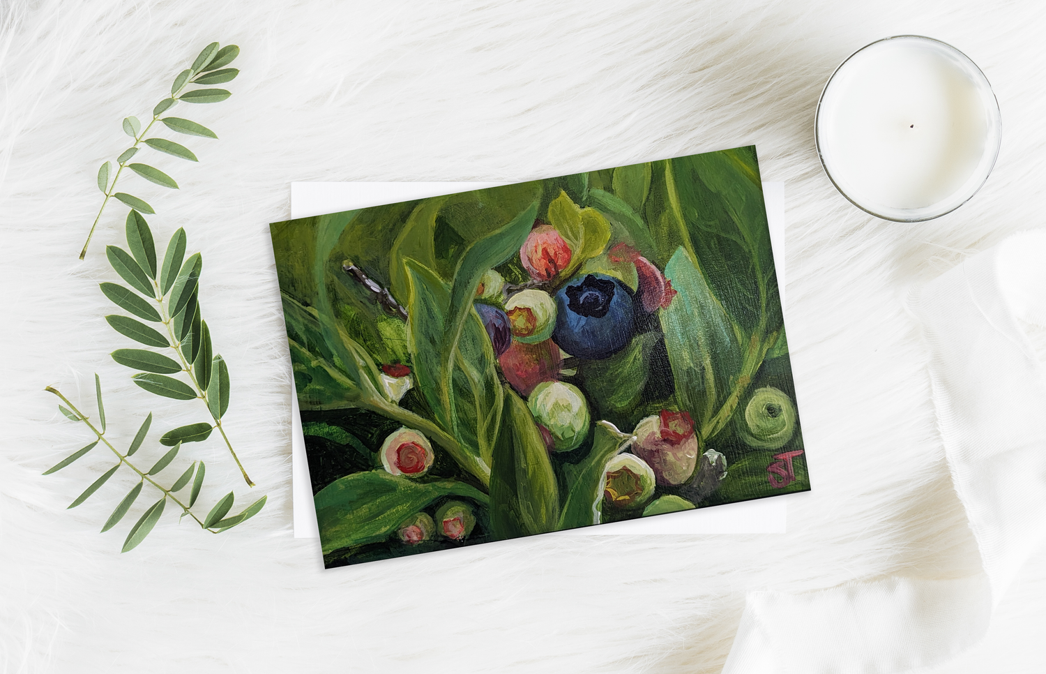 Mainecore Collection