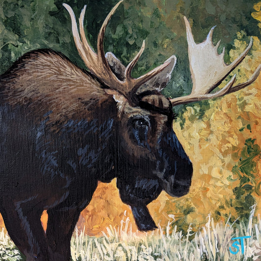 Original wildlife painting of a bull moose with broad antlers standing in tall grass, surrounded by warm autumn foliage in earthy greens and golds.