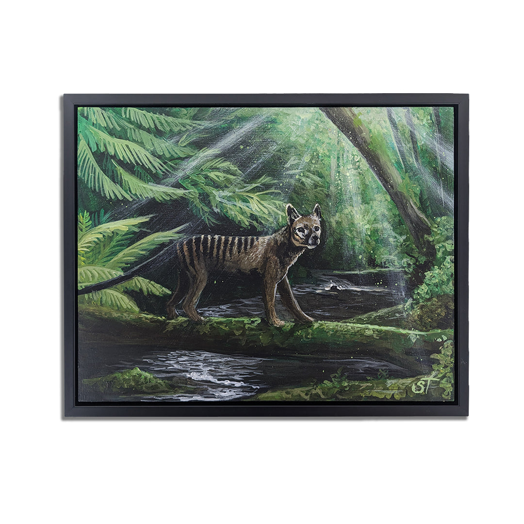 Original acrylic painting of a Thylacine in the jungle, framed in a black frame.