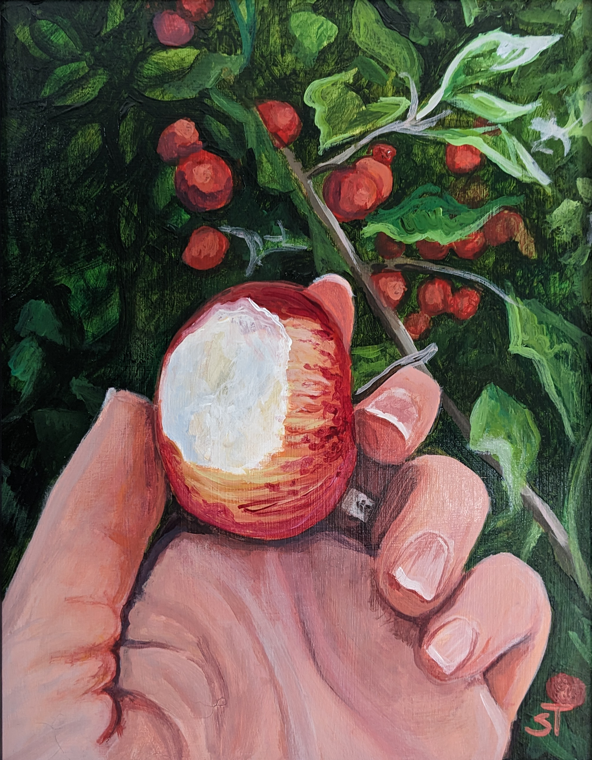 Original Fresh and Wild acrylic artwork featuring a hand holding a freshly bitten wild Maine apple with a heavy laden apple tree in the background. 
