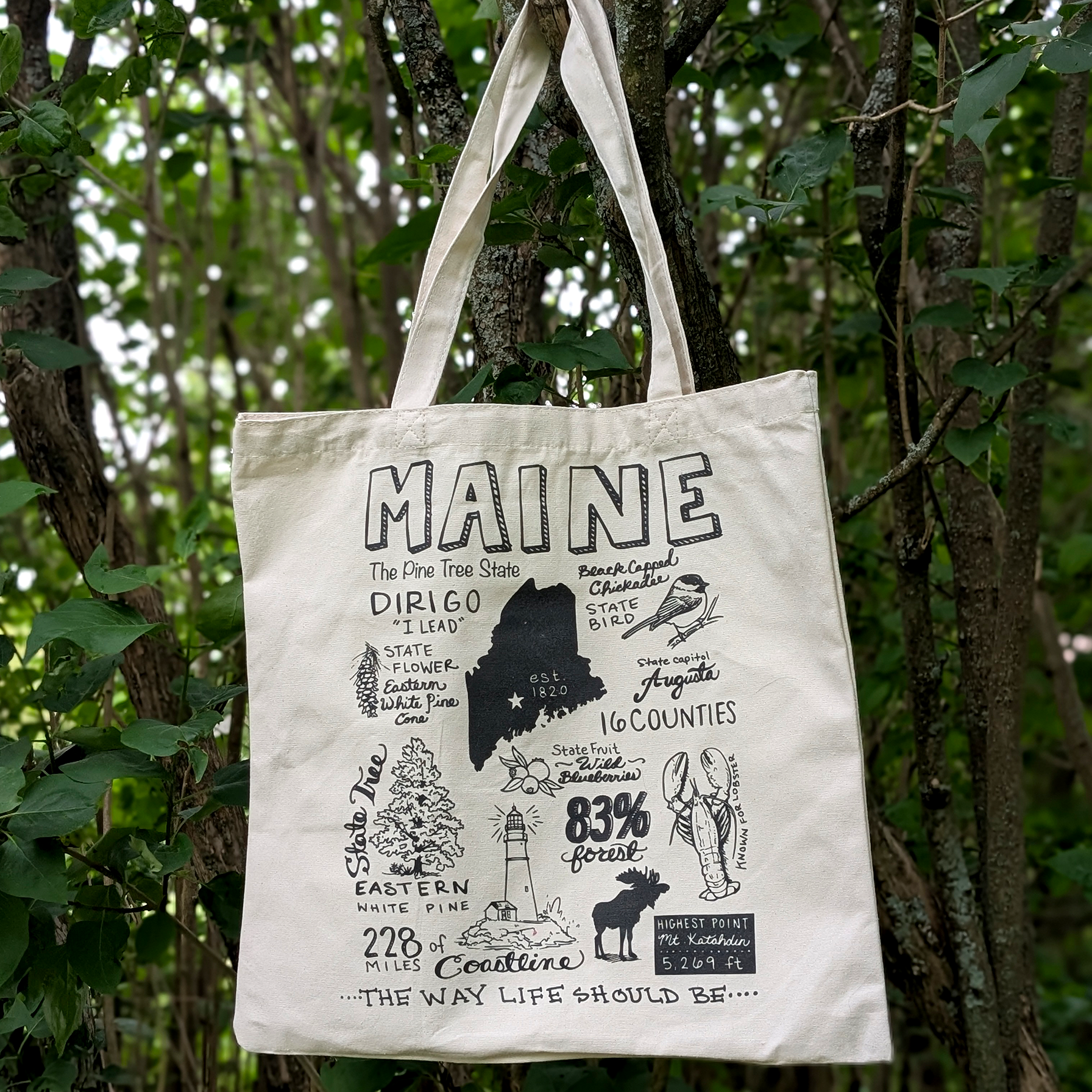 Eco-friendly cotton tote bag featuring a digitally illustrated Maine design with state facts, symbols, and hand-lettered text.