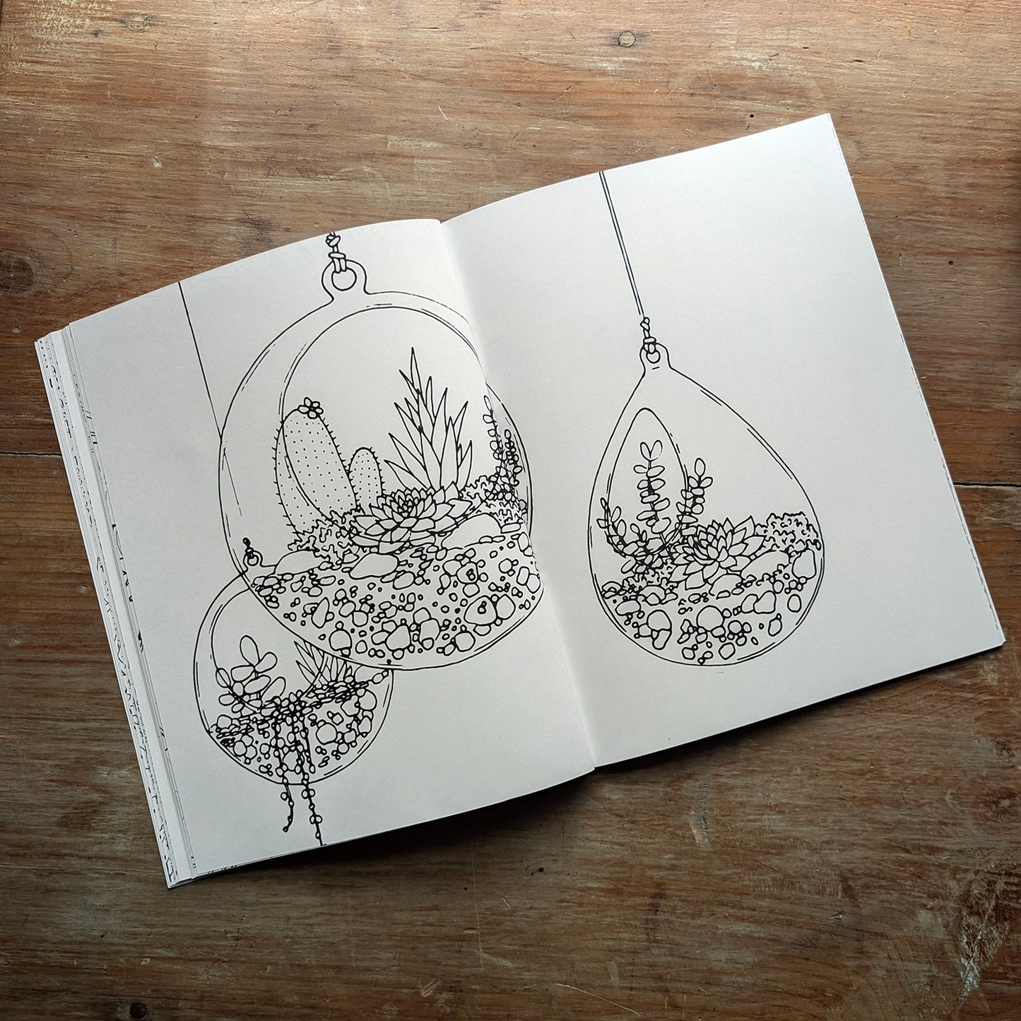 Sample interior coloring book spread featuring hanging glass terrariums filled with plants and stones.