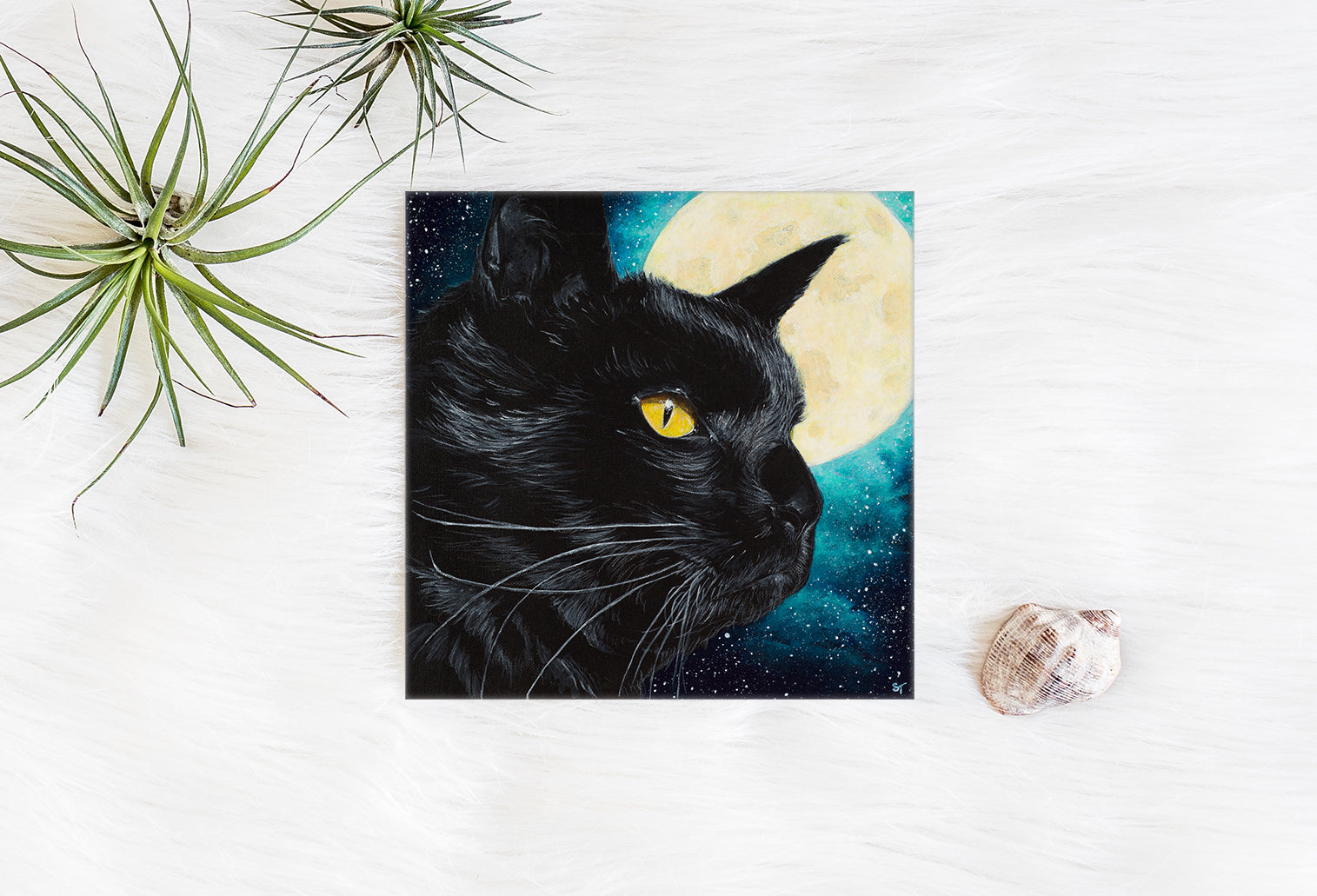 Square greeting card featuring a black cat with a bright yellow eye against a starry night sky and full moon, styled on a white textured surface with air plants and a small seashell.