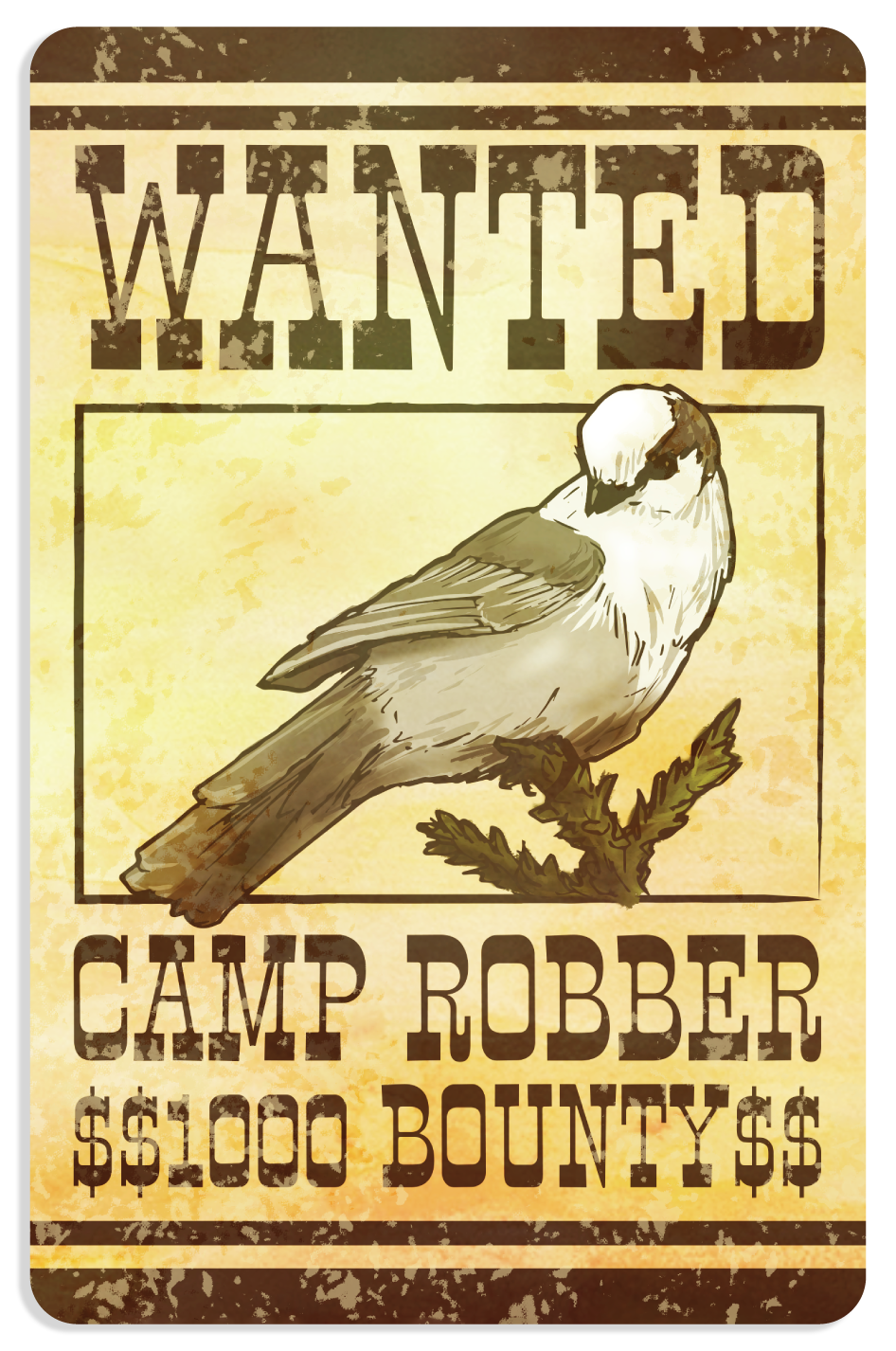 Vintage-style “Wanted” poster vinyl sticker featuring a Gray Jay labeled “Camp Robber” with a $1000 bounty.