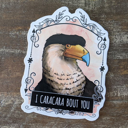 A vinyl sticker featuring an illustration of a Caracara bird with a punny phrase 'I CARACARA bout you' on a decorative border.