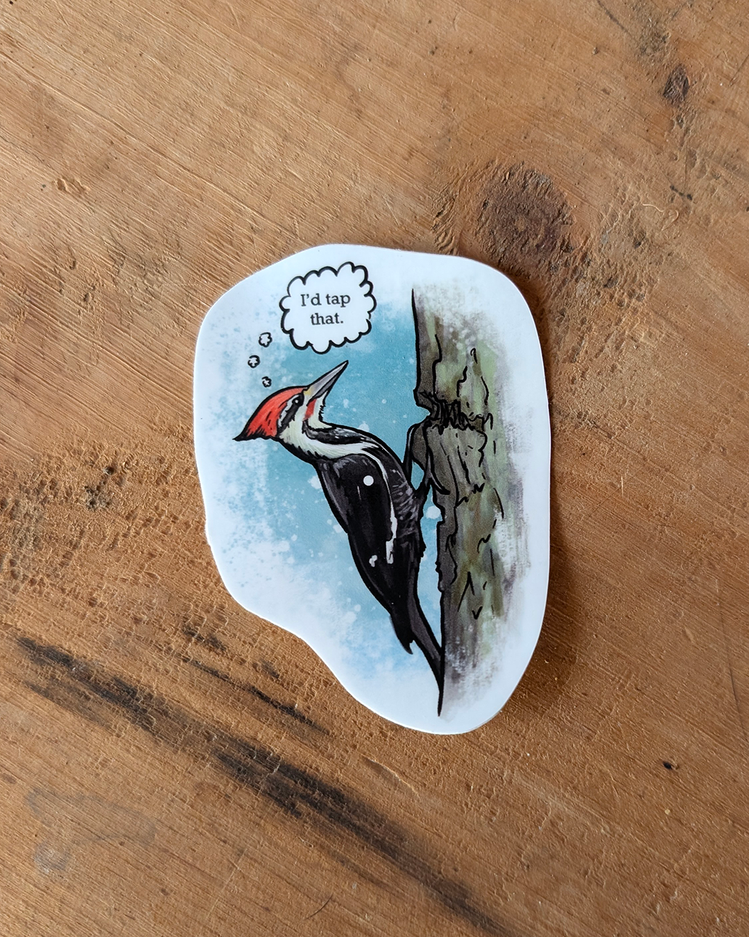 A vinyl decal of a woodpecker with a thought bubble saying 'I'd tap that', placed on a wooden surface.