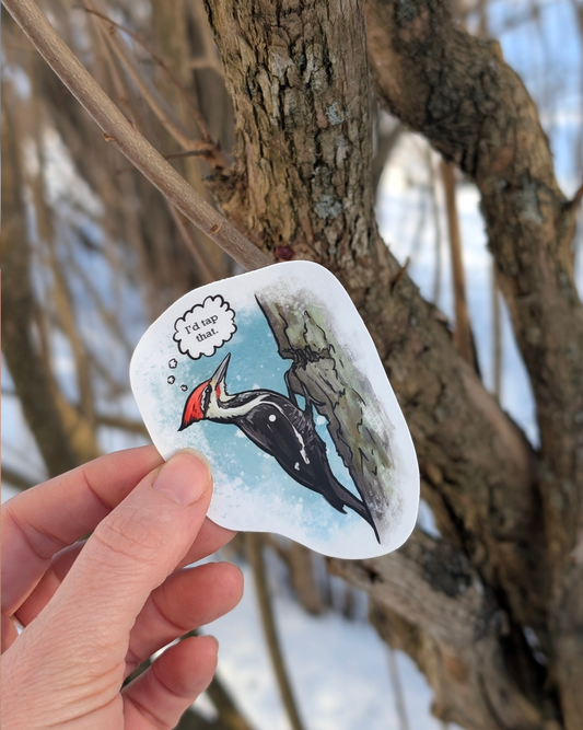 Pileated Woodpecker vinyl sticker held in a hand outdoors, featuring a woodpecker on a tree trunk with a speech bubble reading “I’d tap that.”