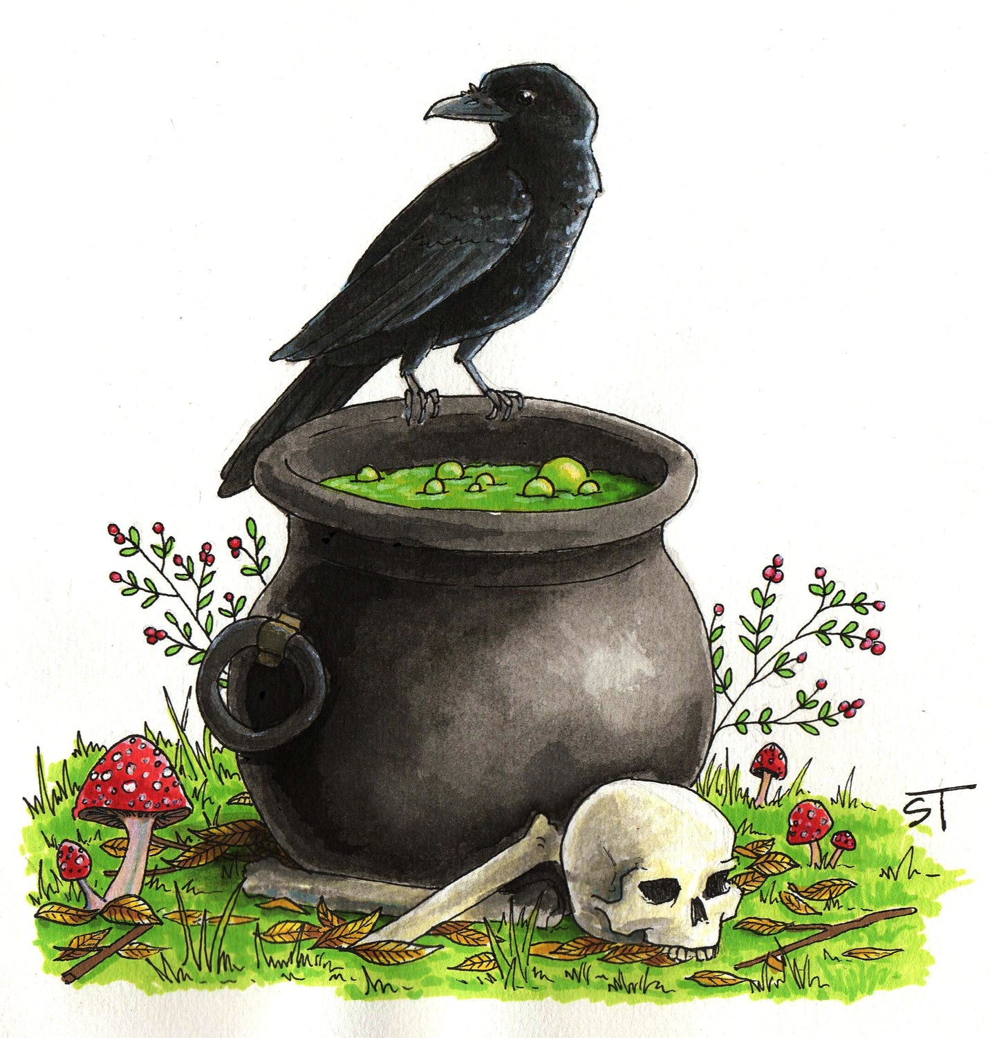 Illustration of a black raven perched on the rim of an iron cauldron filled with glowing green liquid, surrounded by mushrooms, fallen leaves, and a human skull in a woodland setting.